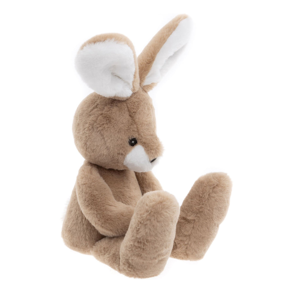 Harry Hare