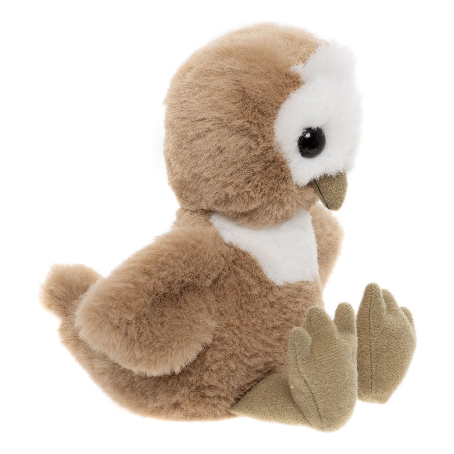 Hoot Owl