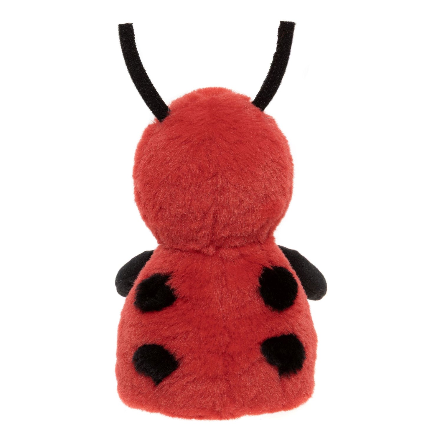 Leaf Ladybird