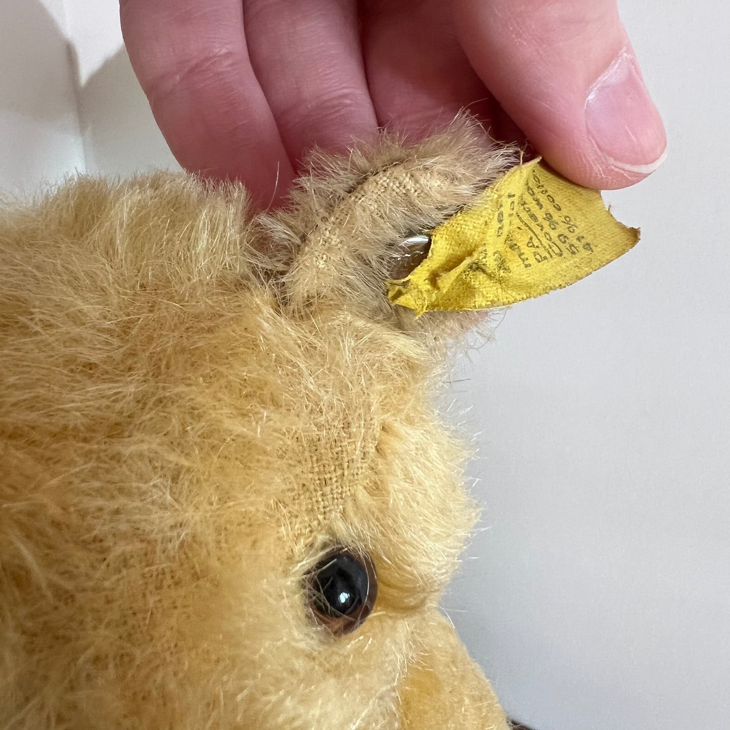 50's Teddy Bear