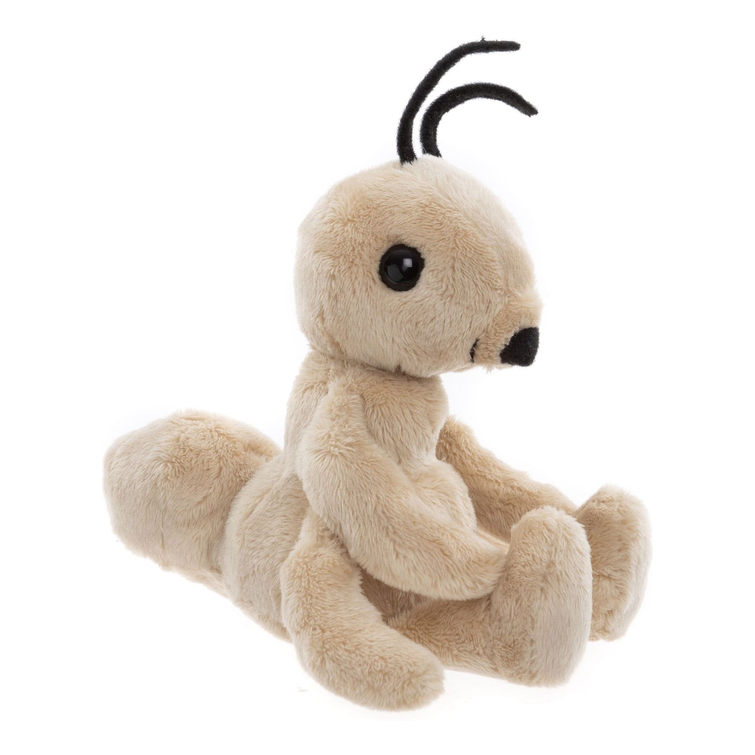 Tony Ant