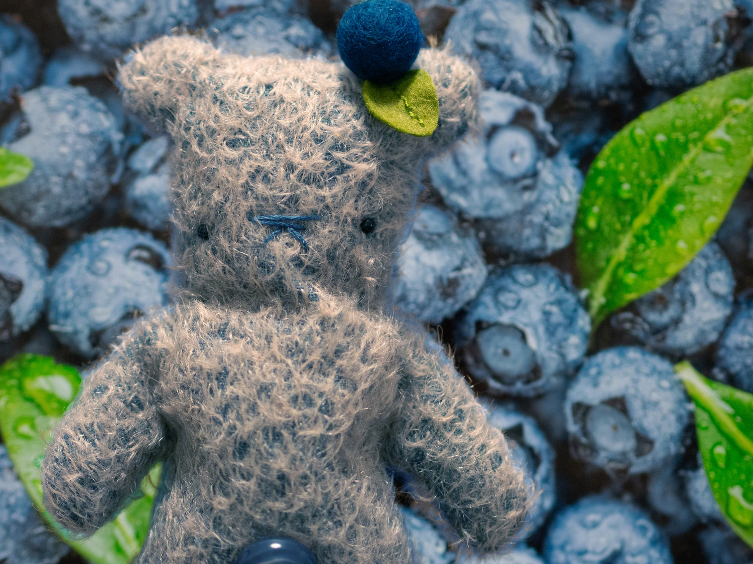 Blueberry