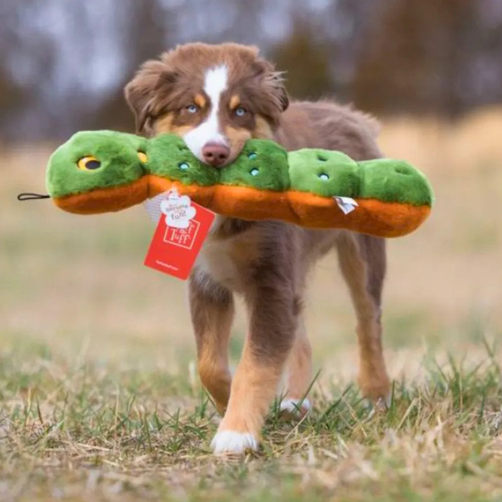 Katie Caterpillar