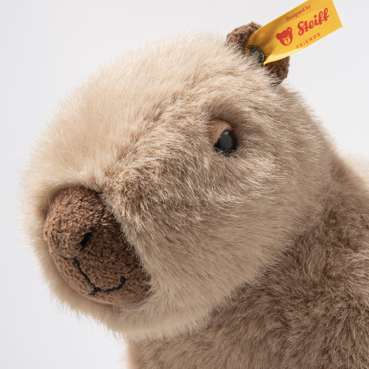 Chip Capybara